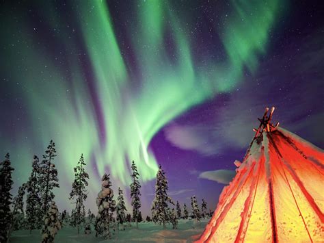 Northern Lights Tours, Rovaniemi Excursions Wild About Lapland