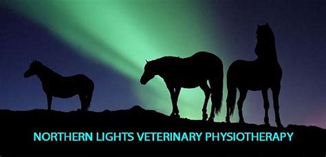 Northern Lights Veterinary Physiotherapy - Facebook