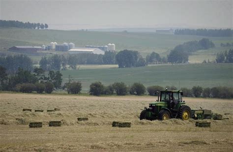 Northern Ontario drought dries creeks and causes livestock feed ...