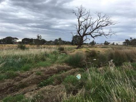 Northern memorial Park Sustainable Fawkner