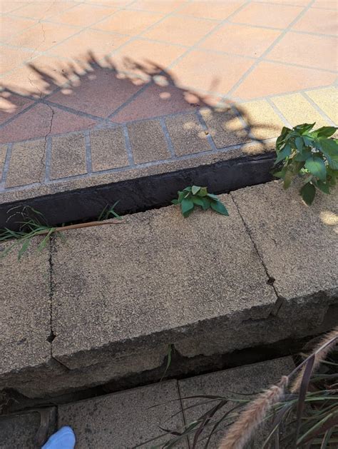 Northlake Way Retaining Wall In Urgent Need Of Repairs