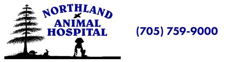 Northland animal hospital. Things To Know About Northland animal hospital. 