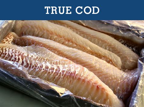 Northport Fisheries - Wholesale Fresh & Frozen …