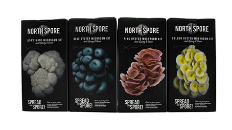 Northspore - North Spore is your mushroom growing source! Located in Maine, USA, we produce premium mushroom grow kits, sterile substrates, organic grain spawn, sawdust spawn, mushroom plugs, and more for home & commercial growers. We also carry grow chambers, cultivation supplies, mycology lab supplies, books, wellness and more.