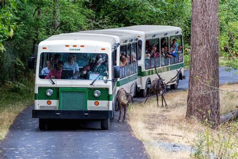 Northwest trek wildlife park. Traveling south on I-5, take exit 127 (WA- 512 E towards Puyallup). Turn left onto WA-512 E. Take the WA-7/Pacific Ave. exit toward Parkland/Spanaway. Turn right onto WA-7 S/Pacific Ave. S. Follow WA-7 S. Turn left onto 304th St. E. Turn right onto WA-161 S/Meridian Ave. E. Turn left onto Trek Drive E. and follow the road to the park. FROM OLYMPIA: 