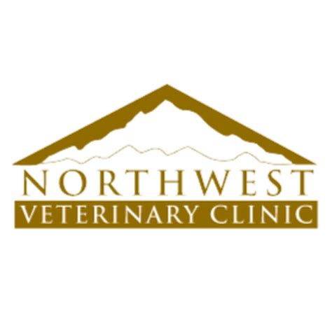 Here, our Northwest Veterinary Clinic of Stanwood vets will ex