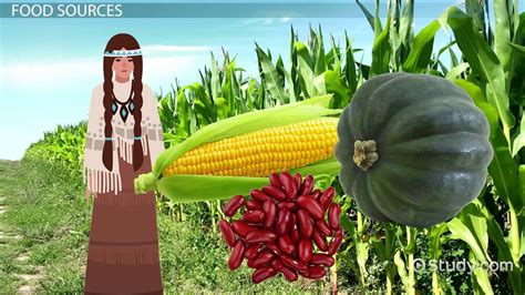 Pre-1492: Native American Cuisine. In general, Native American cuisine prior to European colonization can be characterized by the “Three Sisters”: corn (maize), squash, and beans. While these three crops were grown in some form throughout all of North America before 1492, western American cuisine in particular could be broken down …. 