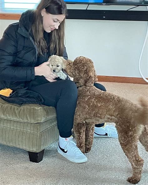 BrookeMarie's Goldendoodle Love, Hanska, Minnesota. 3,343 likes · 72 talking about this · 118 were here. Raising family-oriented Goldendoodles and Bernedoodles for their Forever Homes.. 