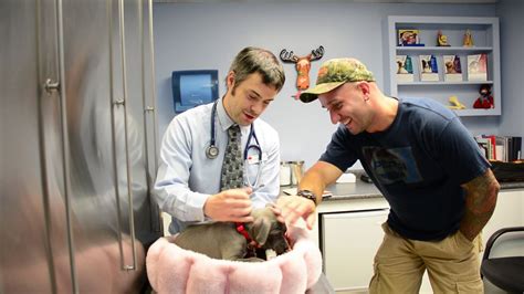 Norwalk animal hospital. Things To Know About Norwalk animal hospital. 