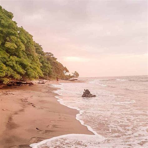 Nosara places to stay. Costa Rica is one of the top vacation destinations if you’re looking for tropical paradise. If you’ve never been, it can be difficult to decide where to stay. From the beautiful be... 