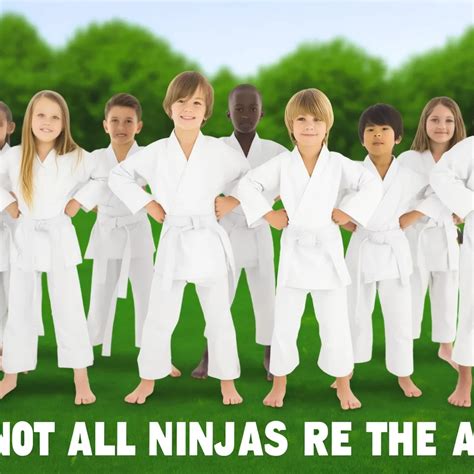 Not All Ninjas Are The Same Believe Martial Arts