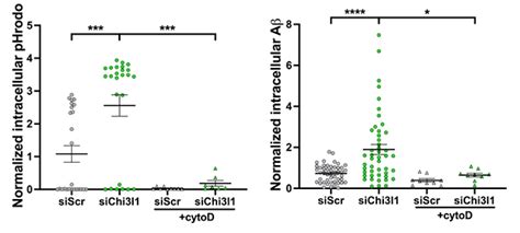 Not Just a Biomarker: YKL-40 Links Glial Clock to Amyloidosis