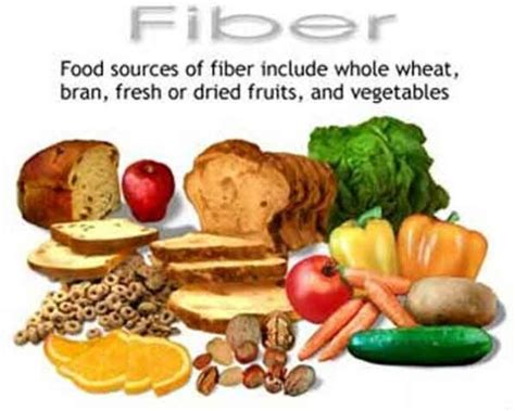 Note Making: Dietary Fibers - The Fresh Reads