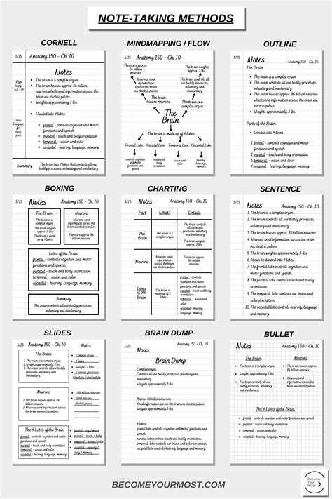 Note Taking Study Guide Making The Peace