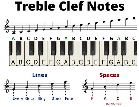 Eighth, quarter, half and whole dotted notes. Includes images. Get free music-related stuff: courses, printables, and more. Jan 19, 2024 - Just a handy and colorful cheat sheet for note reading! Print on cardstock for a durable copy.