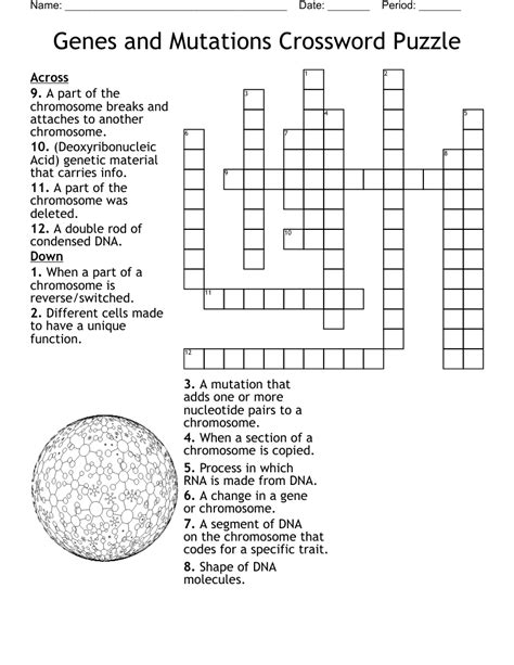 Noted figure in genetic research crossword. Answers for Focus of much genetic research crossword clue, 8 letters. Search for crossword clues found in the Daily Celebrity, NY Times, Daily Mirror, Telegraph and major publications. Find clues for Focus of much genetic research or most any crossword answer or clues for crossword answers. 