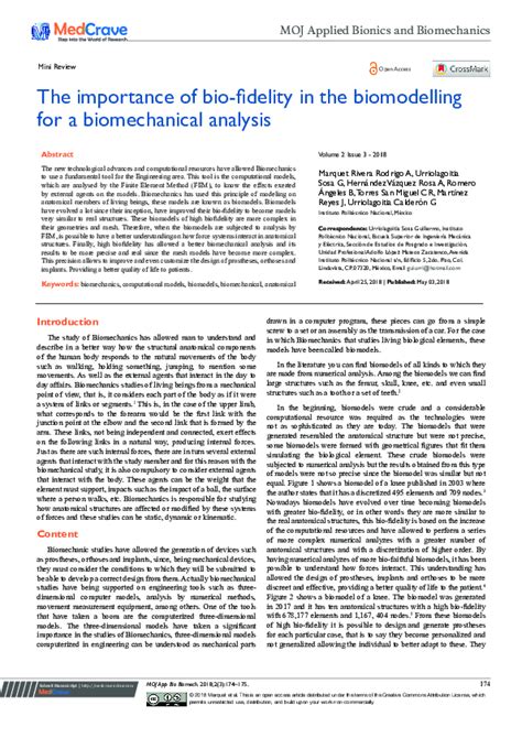 Notes - Biofidelity