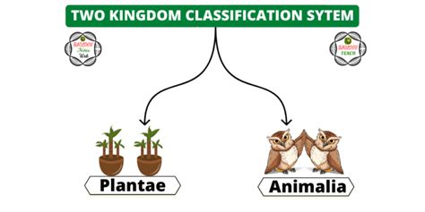 Notes on Two Kingdom Classification System - Unacademy