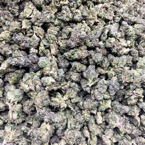 Notorious thc strain. Things To Know About Notorious thc strain. 