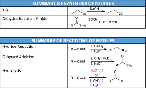 🍌 PORN Notriles Leaks