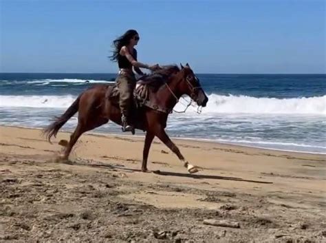 🔥 Notstick3 Onlyfans Leak [CLIP]