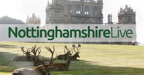 Nottingham News - Latest local news, pictures, video - Nottinghamshire Live