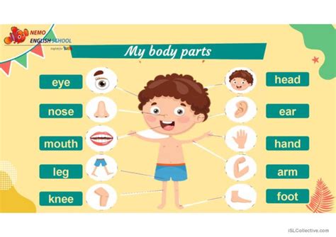 Nouns–body parts – Neaseno