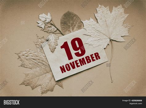 Nov 19th Calendar