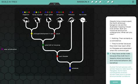 Nova labs the evolution lab mission 2 answer key. Explore the evidence of evolution with this interactive worksheet based off of NOVA’s Evolution Lab. This resource is designed to be completed while playing through the Evolution Lab game and contains multiple choice and free response questions and covers Mission 5 of the Evolution Lab game with embedded videos. Mission 5 explores how … 