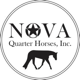 Reviews from Nova Quarter Horses employees about Nova Quarter Horses culture, salaries, benefits, work-life balance, management, job security, and more.. 