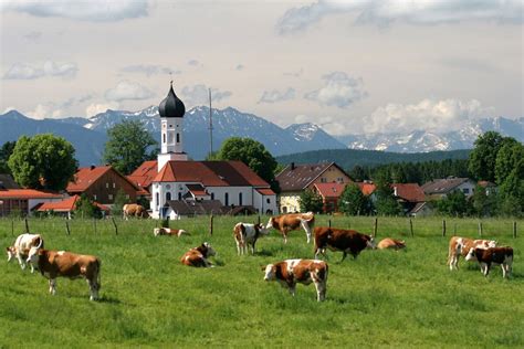 Novak in Iffeldorf › Landkreis Weilheim-Schongau