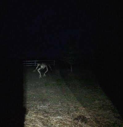 🍆 Novaray94 Leaks [HD] 133 Vids