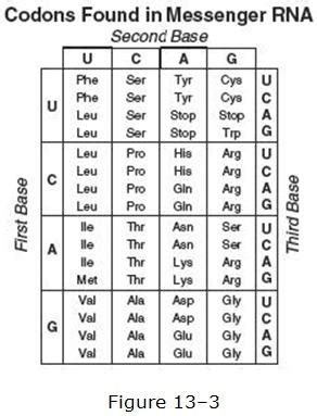 Novasnebula Leaks (SEX) 🍆 159 Videos