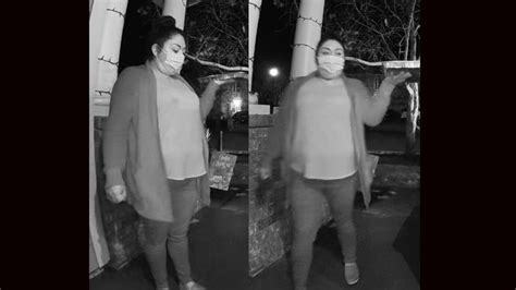 Novato package thief wanted by police