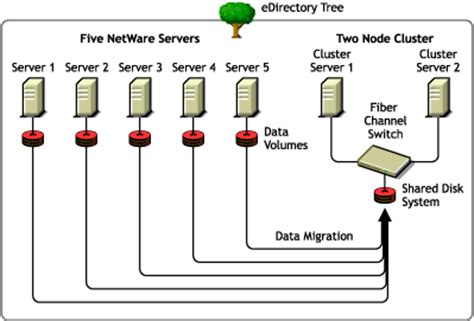 Novell file server migration to windows server. - Aoasif instruments and implants a technical manual.