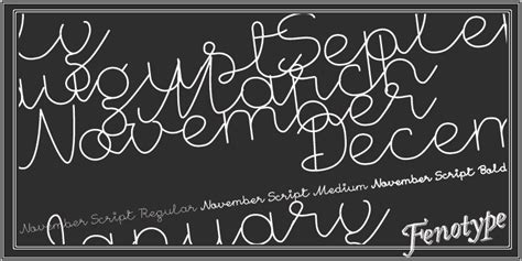 November Script Medium Font by Fenotype Font Bros