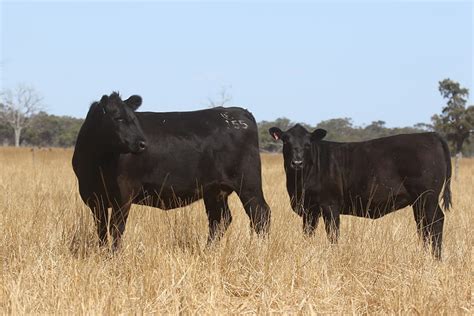 November aor 2018.  It&rsquo;s an excellent tool for planning around days off, scheduling appoin...