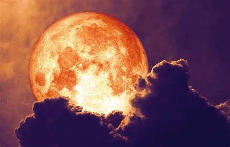 November full moon 2020. .  <a href=https://dev.sumo.app/assets/images/y05ig...