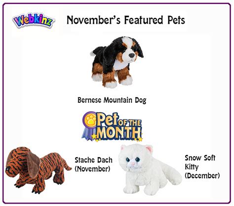 November pets featured in the Morning Report