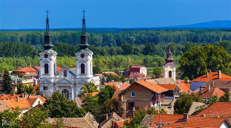 Novi Sad (AS) - Sremski Karlovci (Vinogradarska)