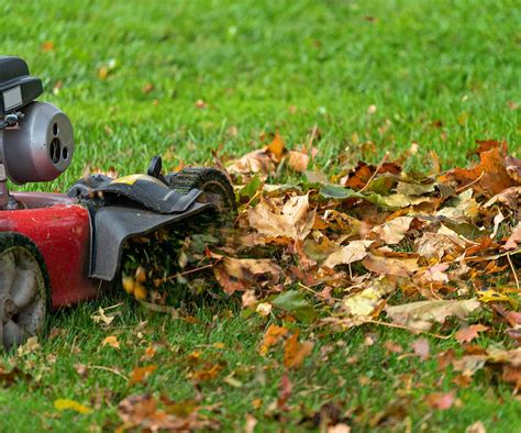 Now that fall is here, when should you stop mowing?