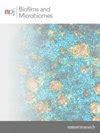 Npj 生物膜和微生物组杂志-NPJ BIOFILMS MICROBI-首页