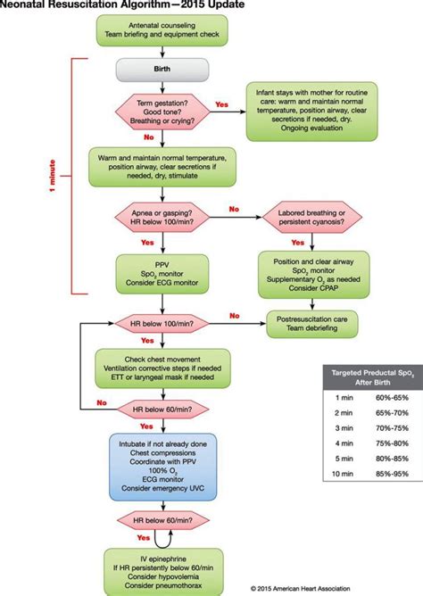 Nrp Neonatal Resuscitation Algorithm