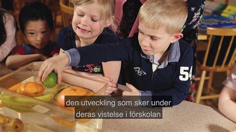 Nu  bör  oss  äga  ett  undervisning  angående mat!