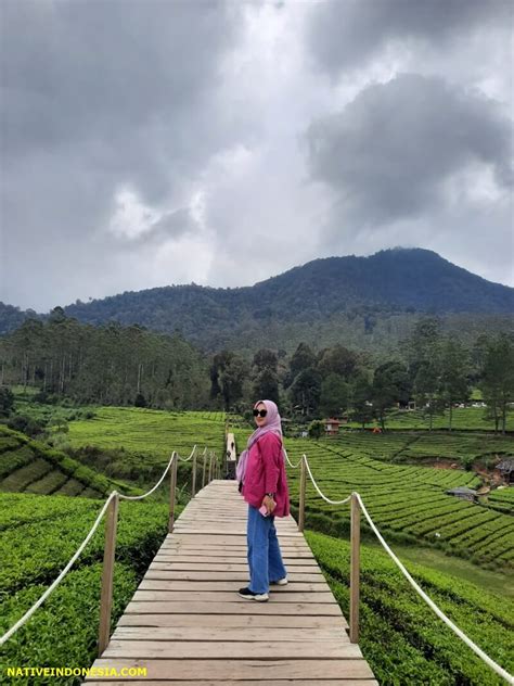 Nuansa Riung Gunung Pangalengan, Spot Hulang-Healing Terbaru Di Bandung ...