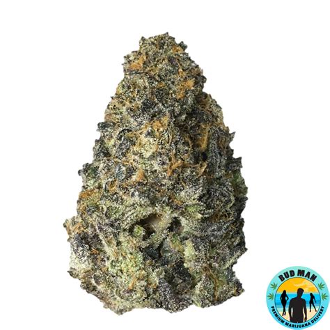 THC Bomb has an earthy, Skunky taste and smell, with an additional sour flavor. The nugs are loose and green with orange hairs. The most likely side effects include dry mouth, dizziness, red eyes, headaches, and paranoia. THC Bomb can be found in the Pacific Northwest, Alaska, and Colorado.