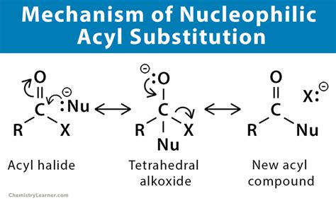 Nucleophilic Acyl Substitution