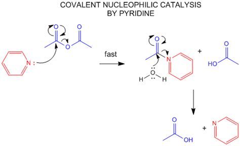 Nucleophilic substitution catalyst.  Nucleophilic catalysis is defined as a process where...