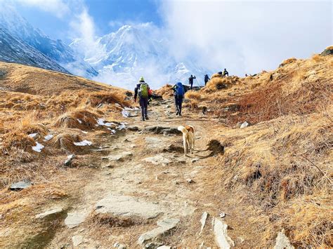 Nude hiking nepal. .  ...