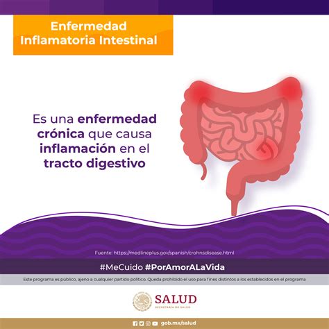 Nuevas técnicas isotópicas para el estudio de la enfermedad inflamatoria intestinal. - Isuzu fvz truck 2008 2011 parts manual catalogue.